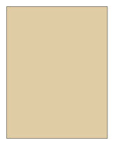 Full Page